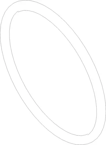 O-RING 100X.063IN