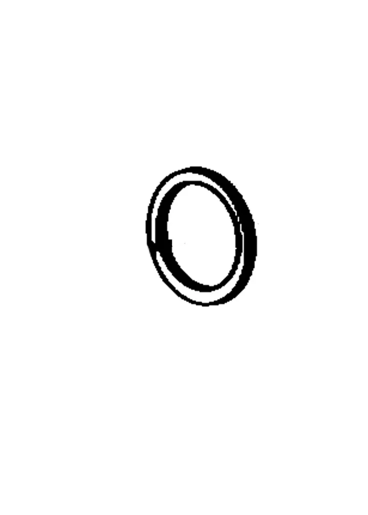 RETAINER RING BEARING