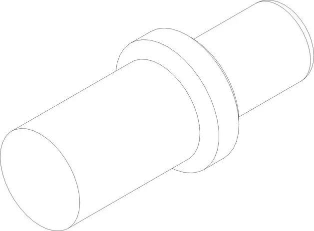 PLUNGER