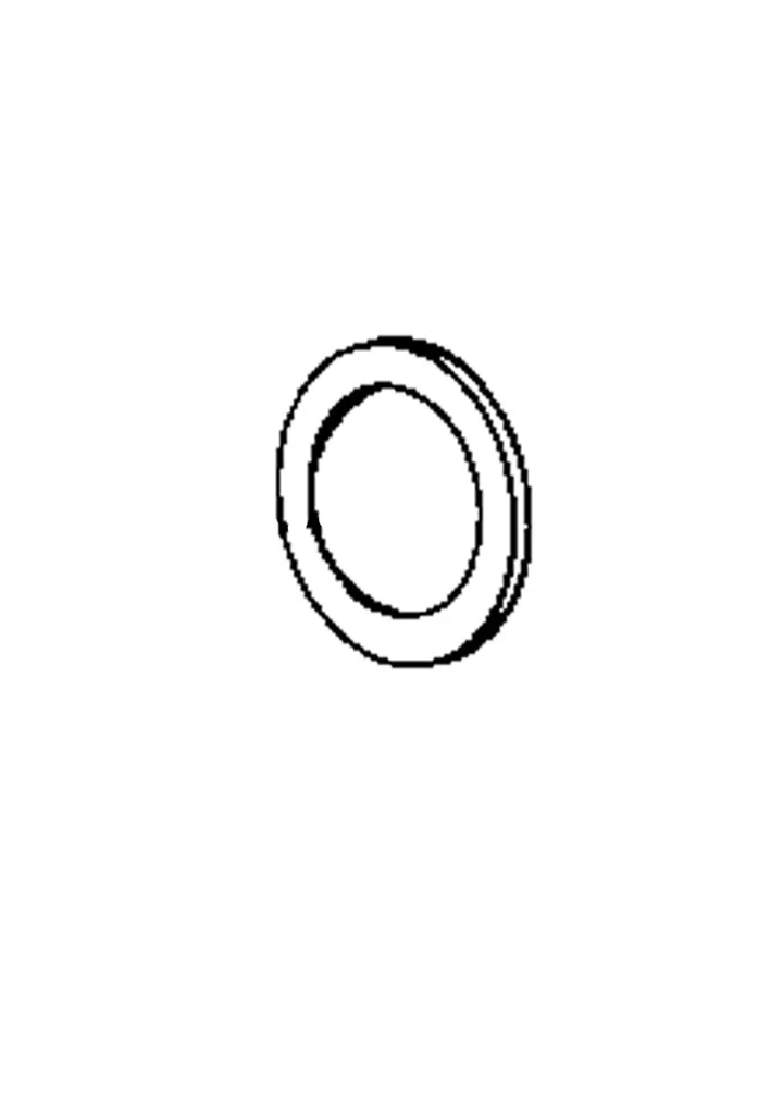 WASHER SPRING