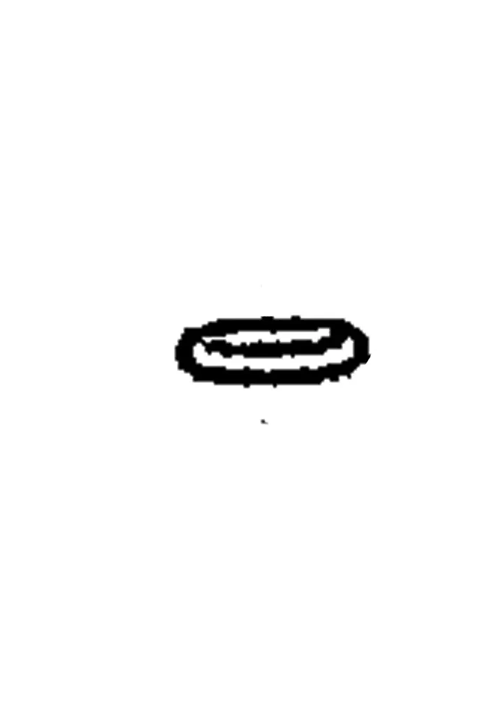 VALVE O-RING