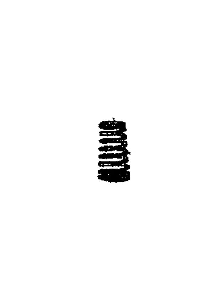 VALVE SPRING
