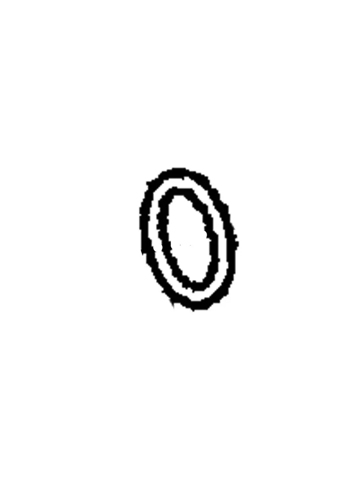 VALVE O-RING