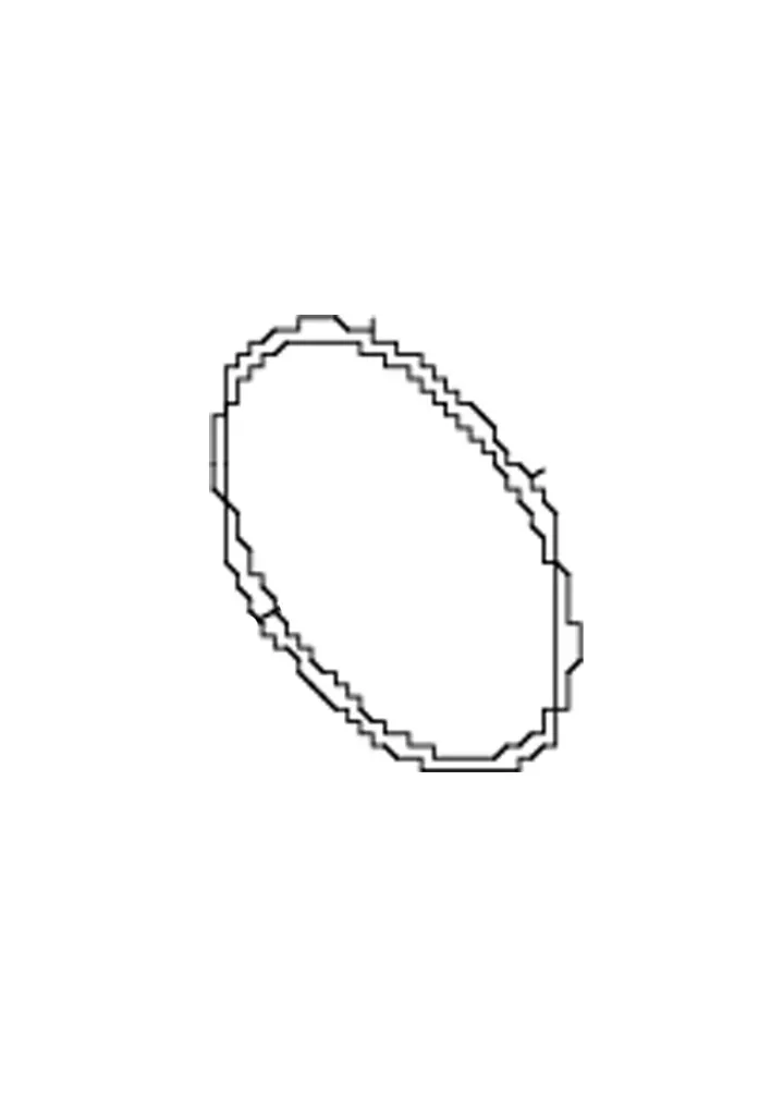 O RING