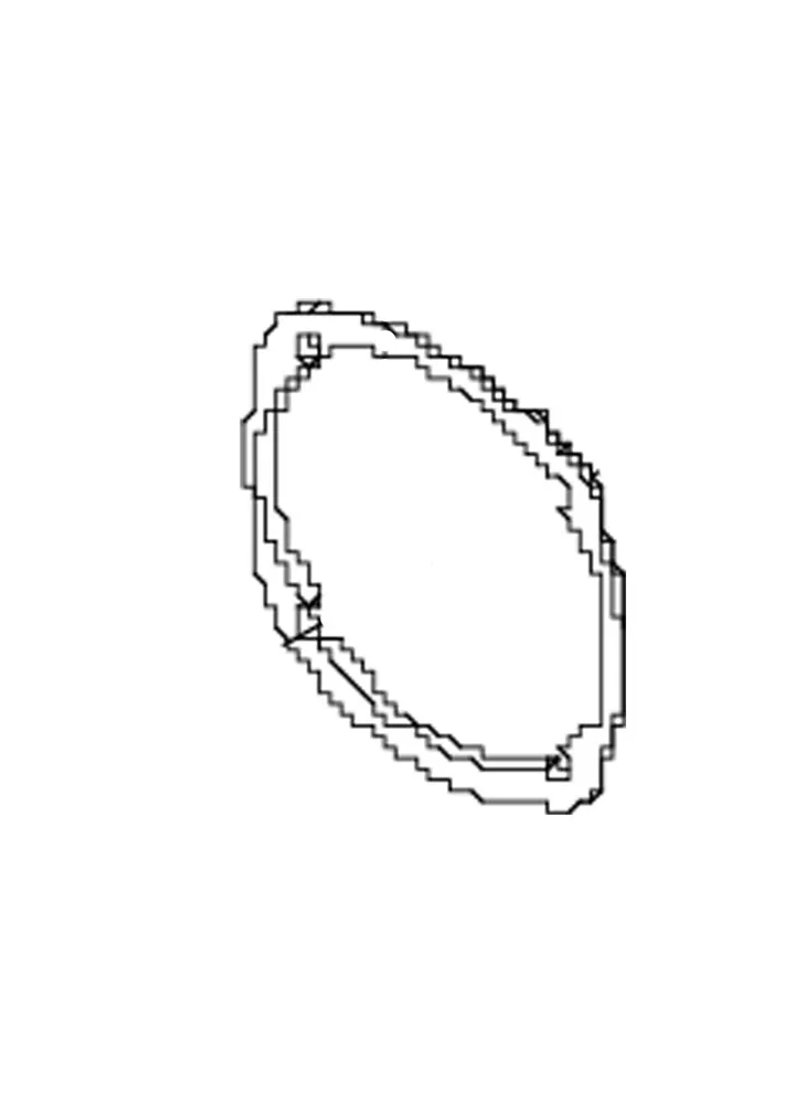 ORNAMENTAL GASKET