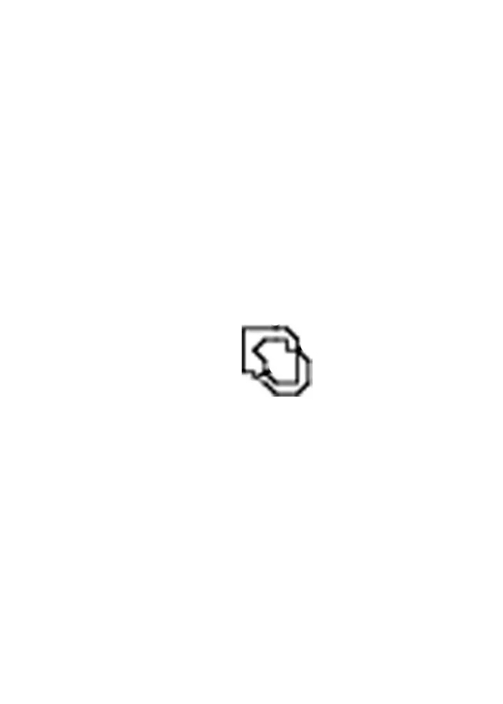 O RING