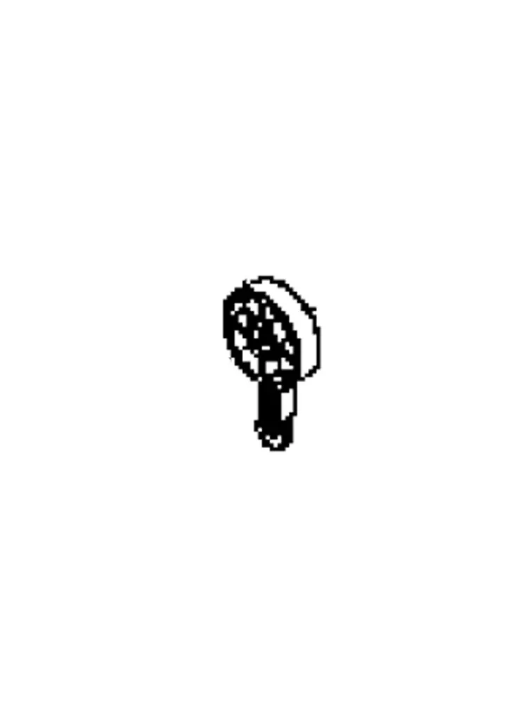 REVERSE LEVER