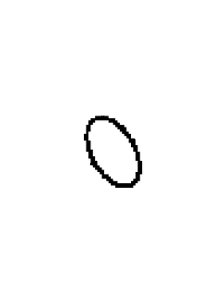 O RING