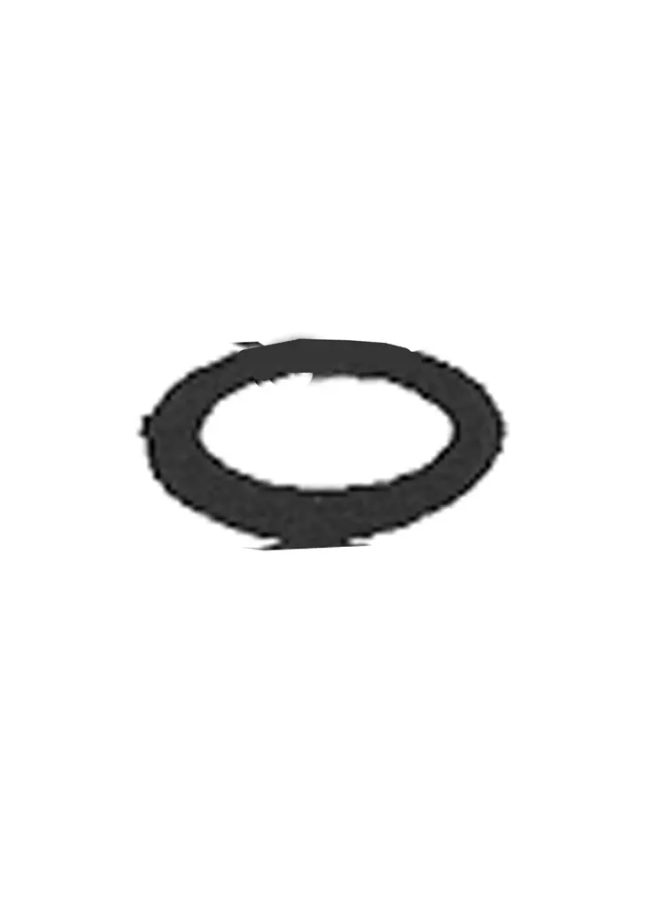 RING SEAL