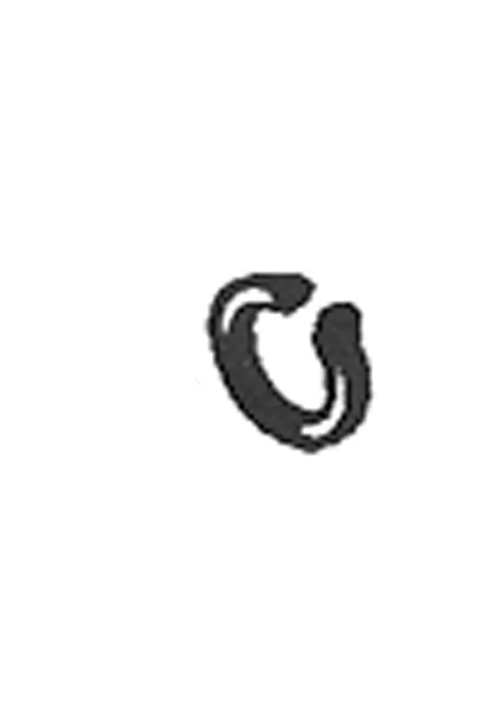VALVE RING SEAL