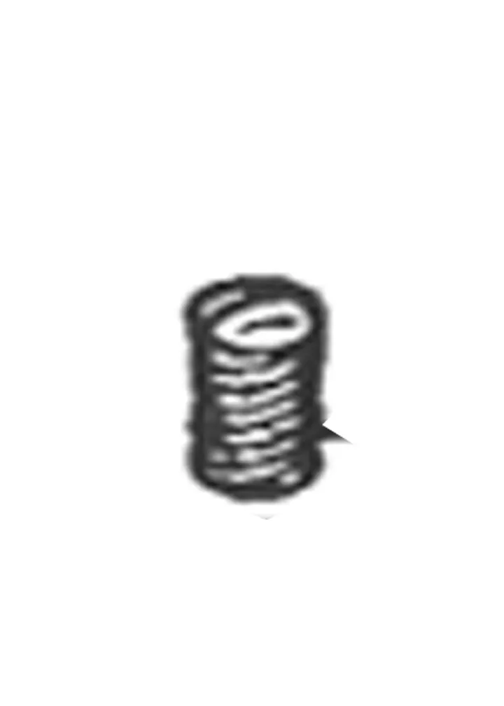 THROTTLE VALVE SPRING
