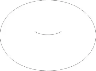 O RING