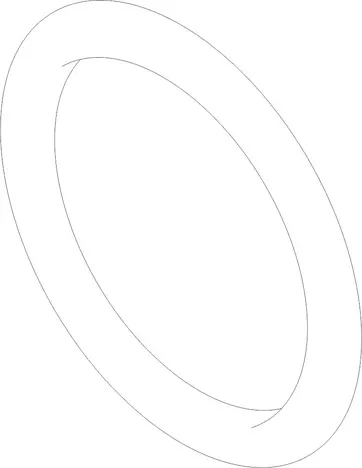 O RING