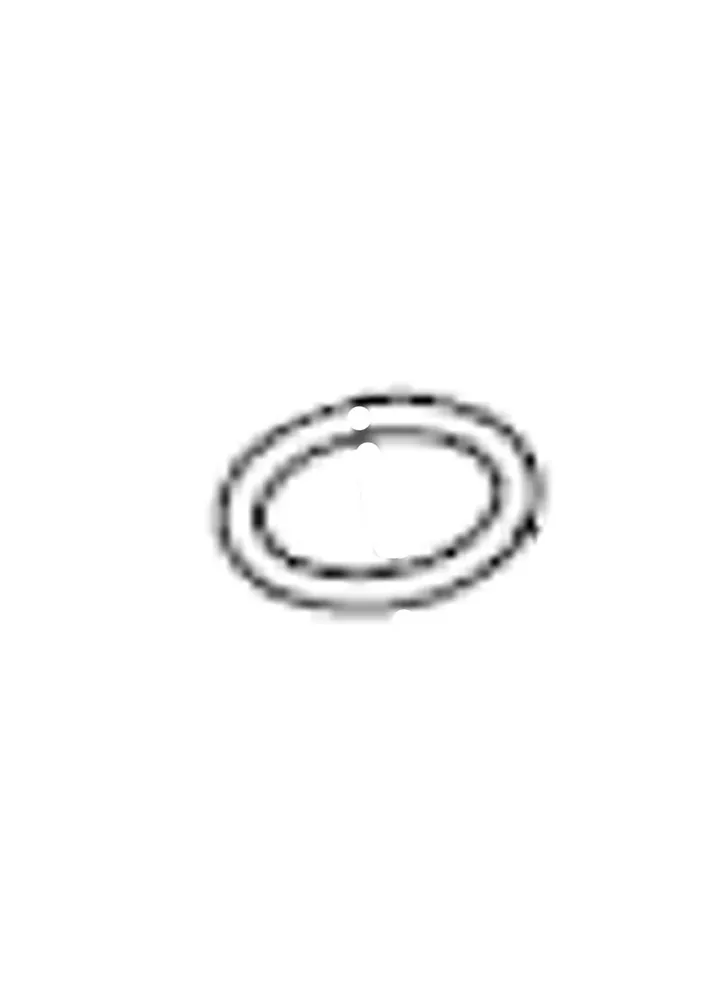 O RING