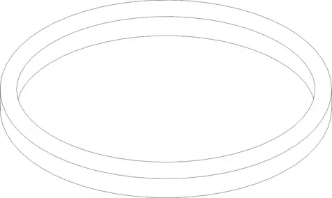 O RING
