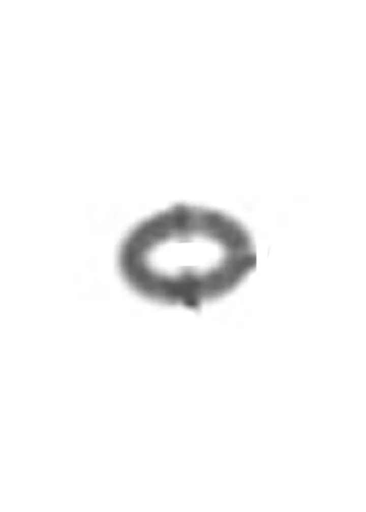 O RING