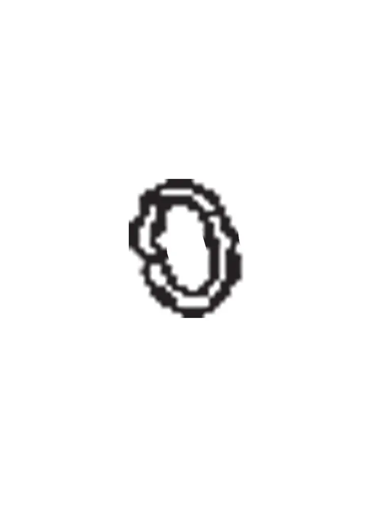 O RING