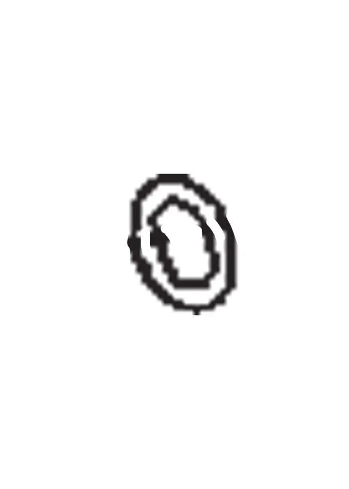 O RING