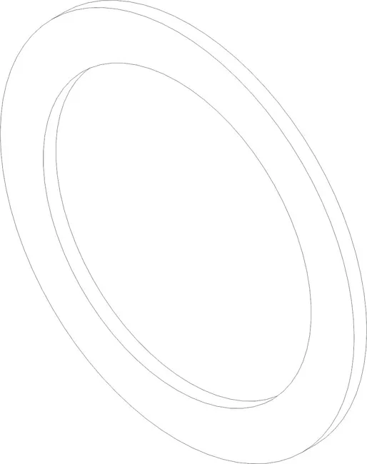 RACE BEARING