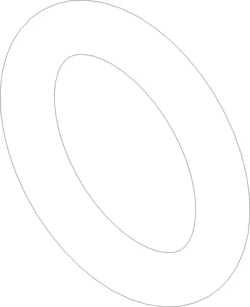 O RING