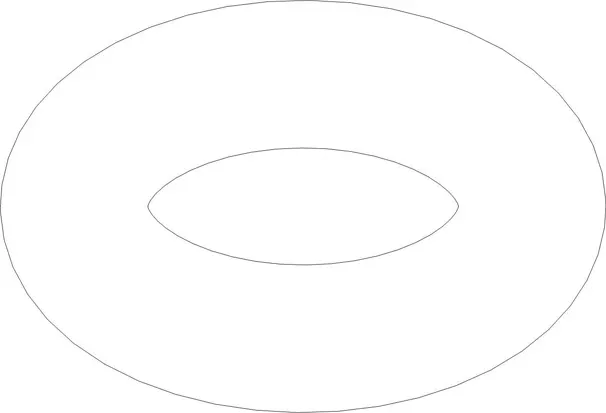O RING