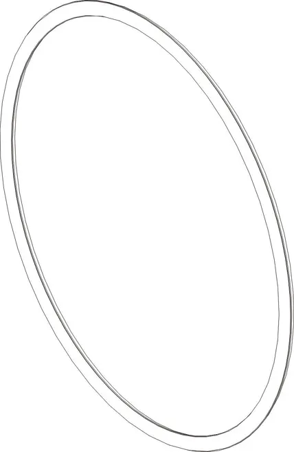 OIL-RESISTANT O-RING