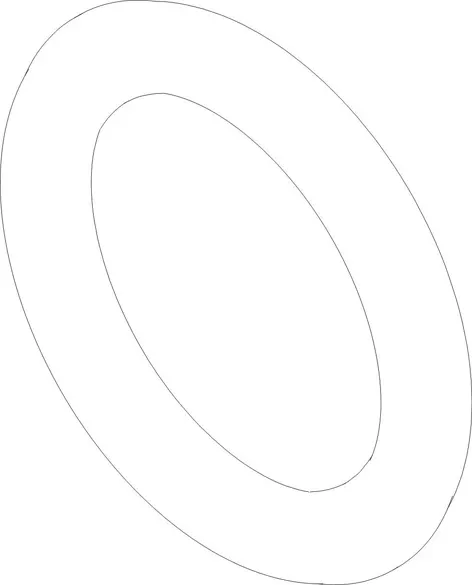 O-RING