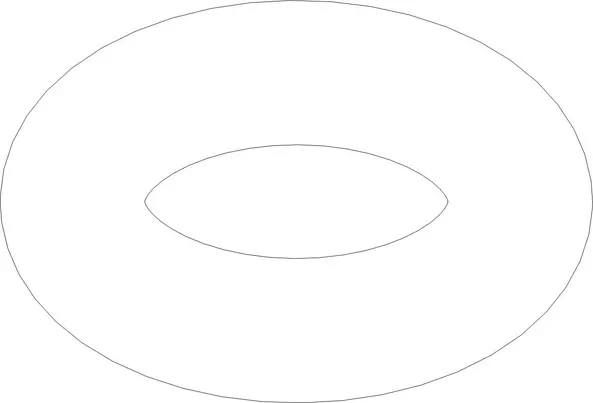 O-RING