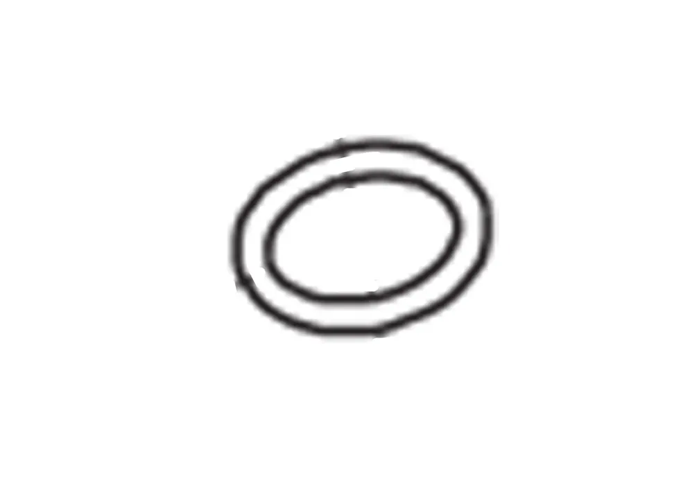 O-RING