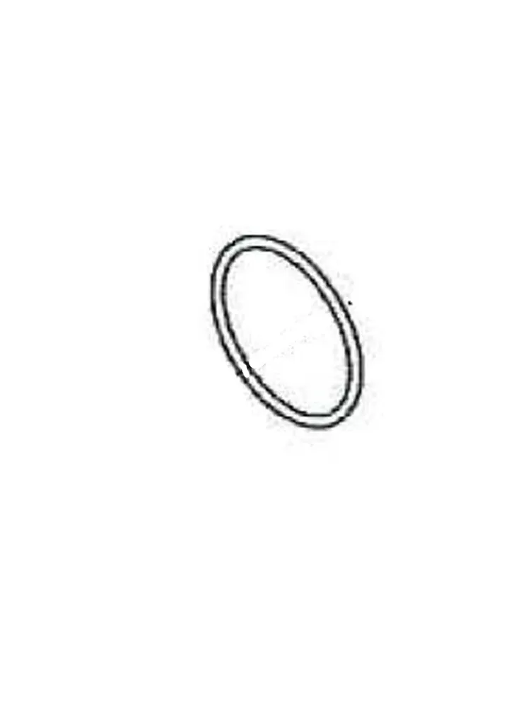 O-RING