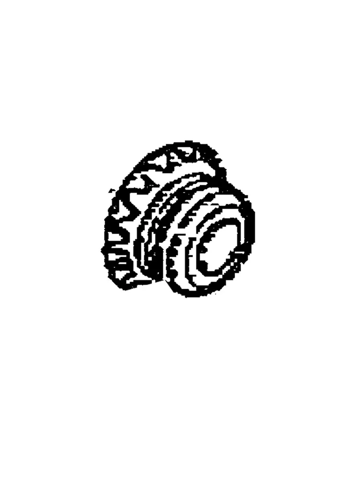 GEAR SET SPIRAL BVL L AND R