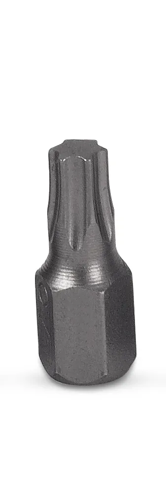 STUBBY T25 TORX BIT