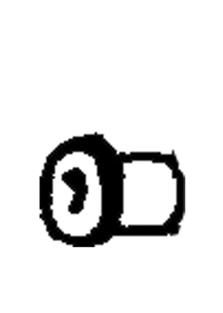 PINION