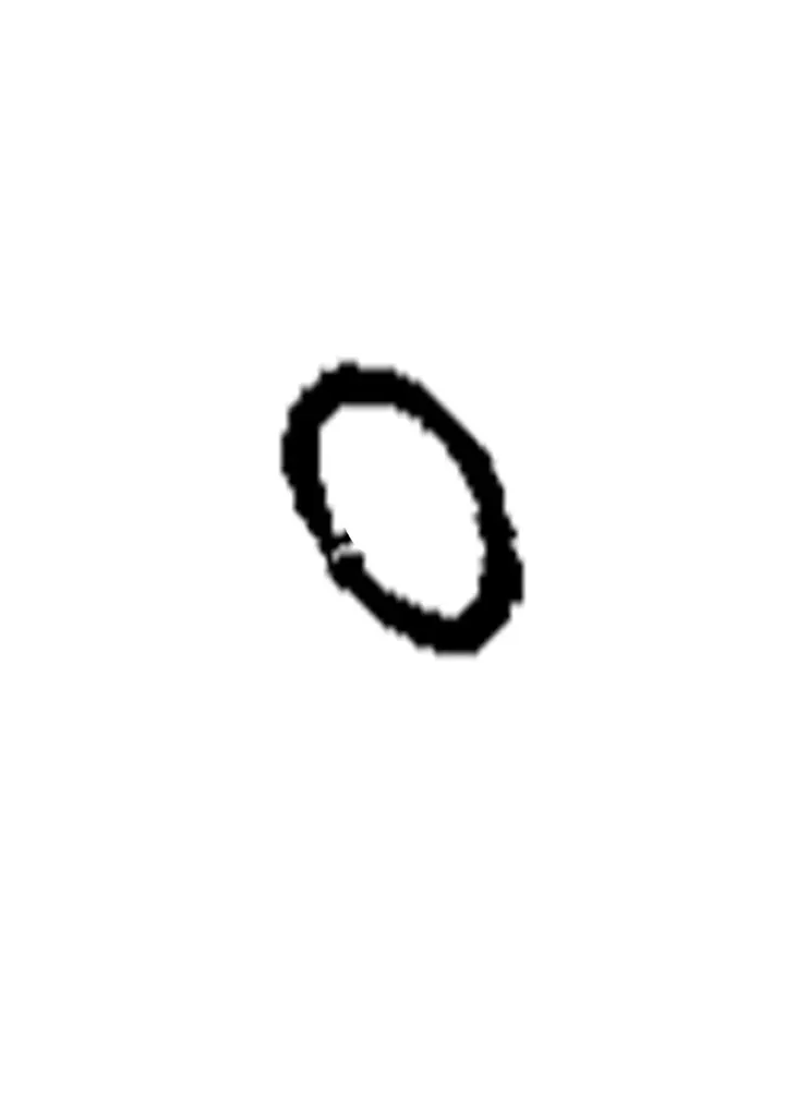 O-RING