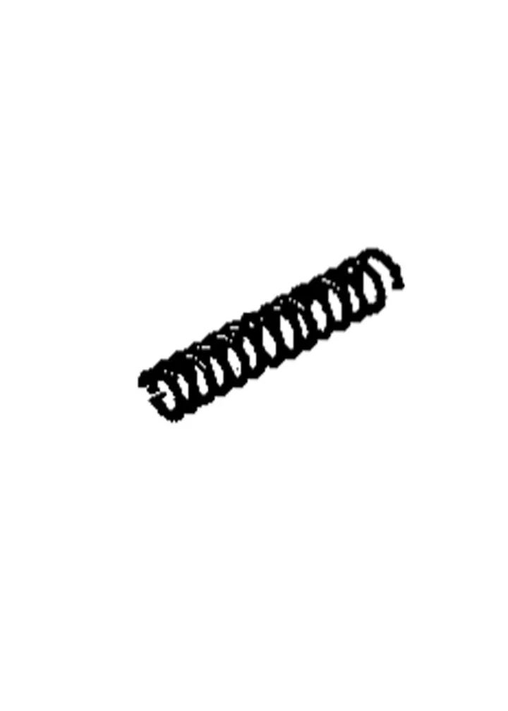 VALVE SPRING