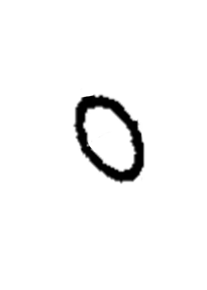 O-RING