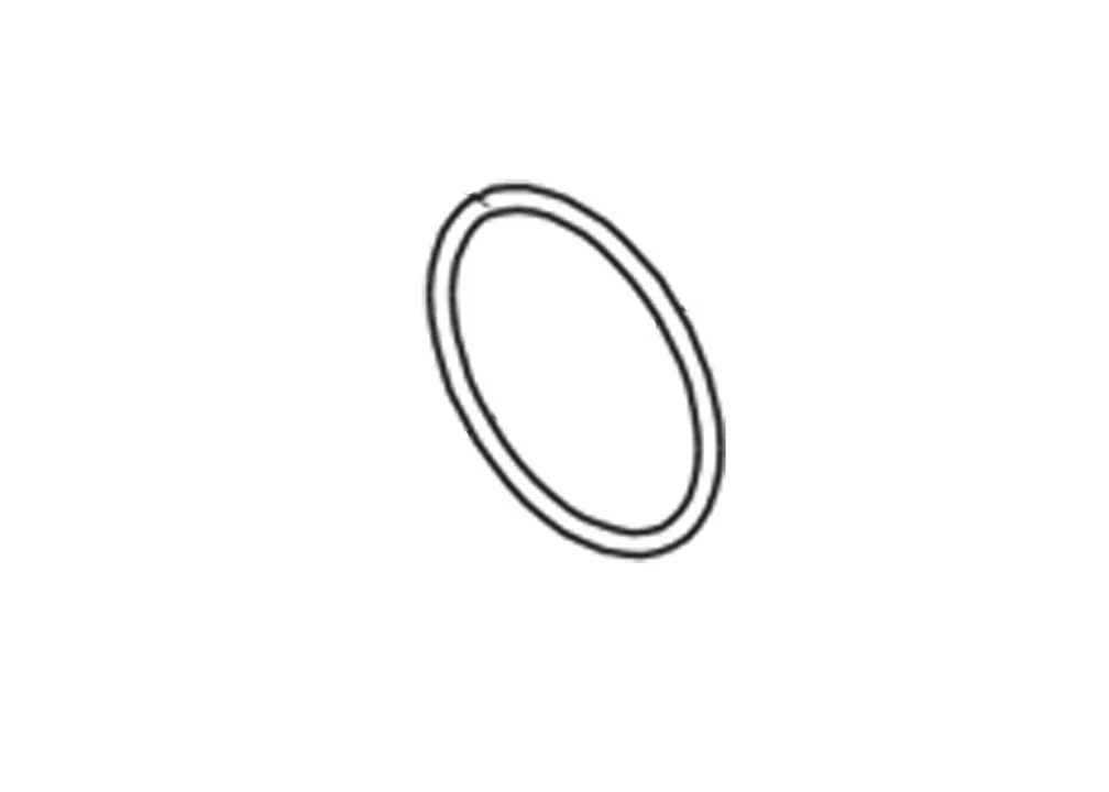 O-RING