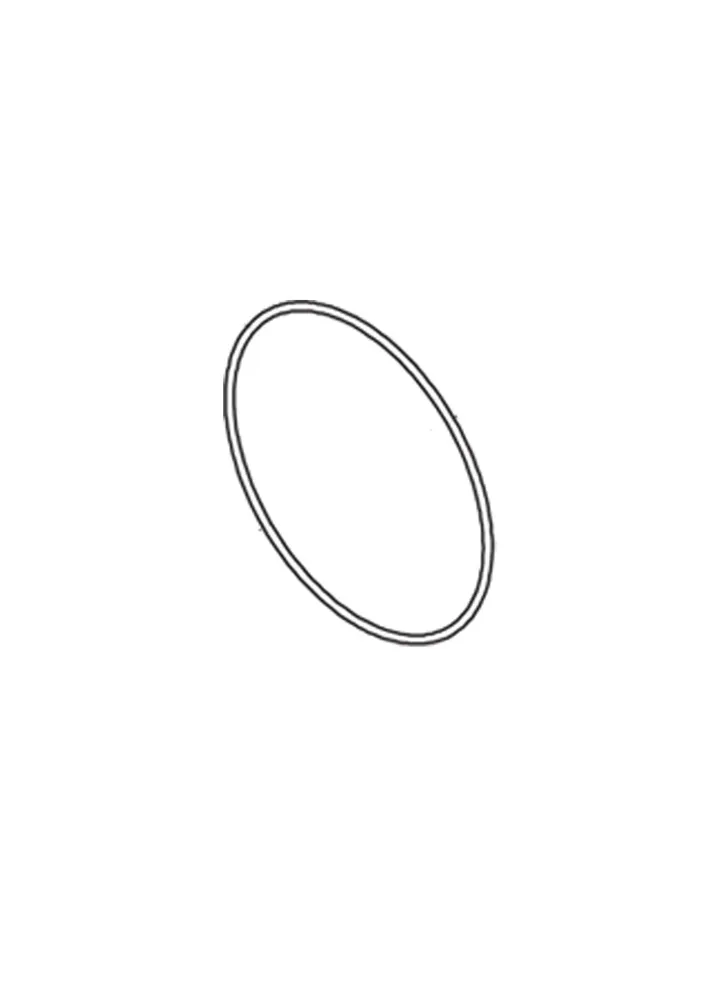 O-RING