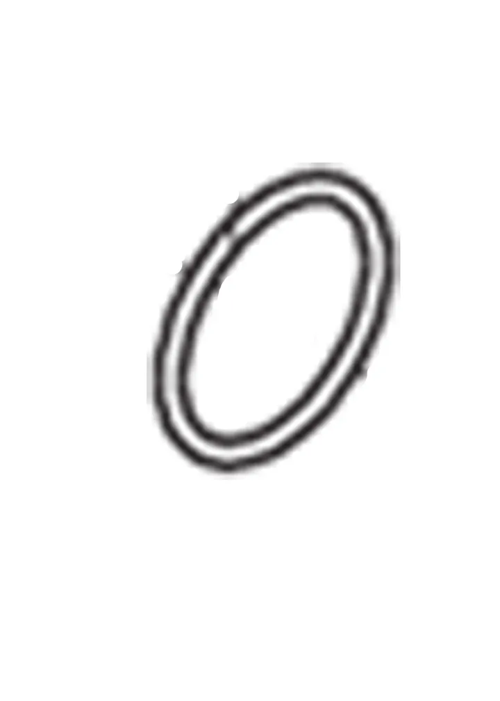 O-RING