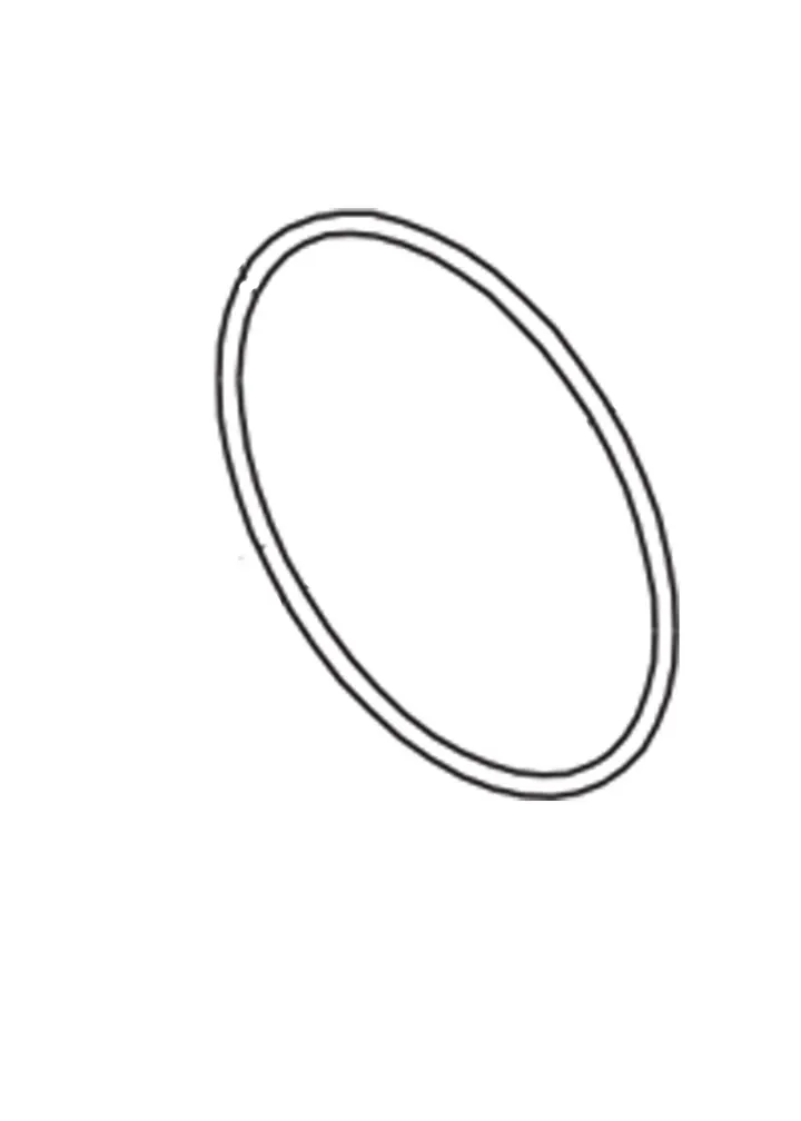O-RING