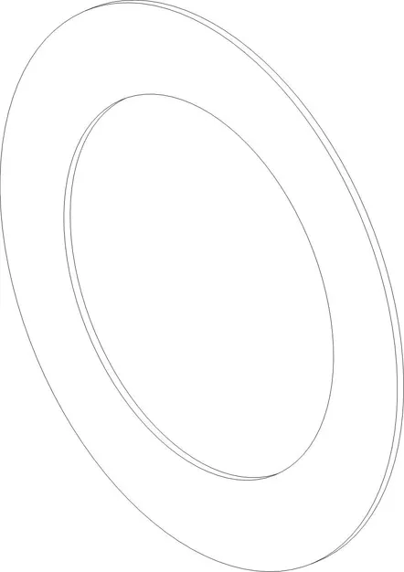 GOVERNOR SHIM (0.2MM)