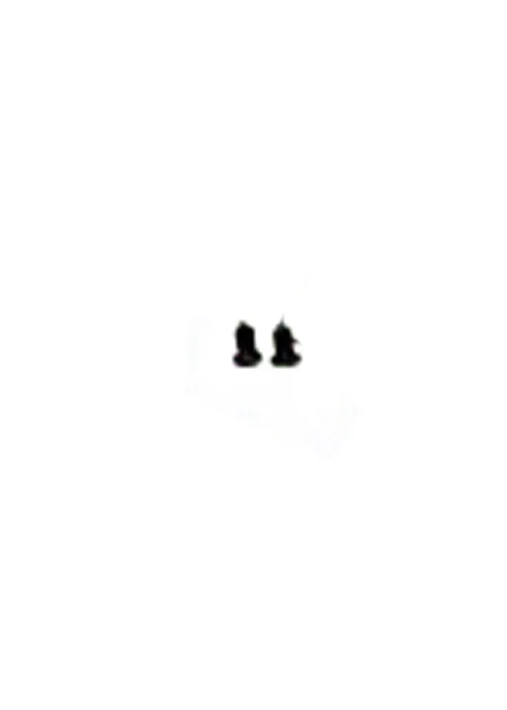 SCREW (TS2.9)