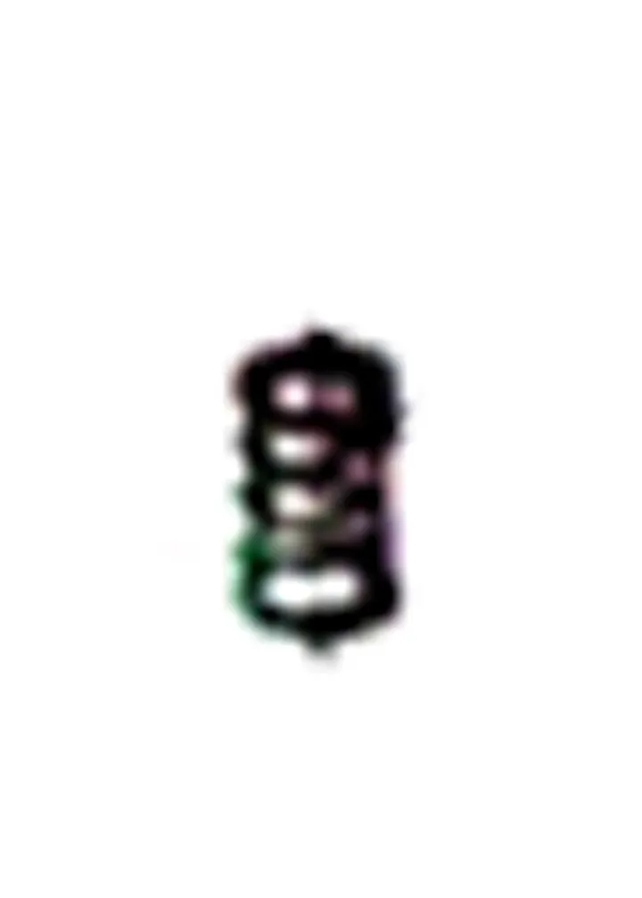 VALVE SPRING 5434C