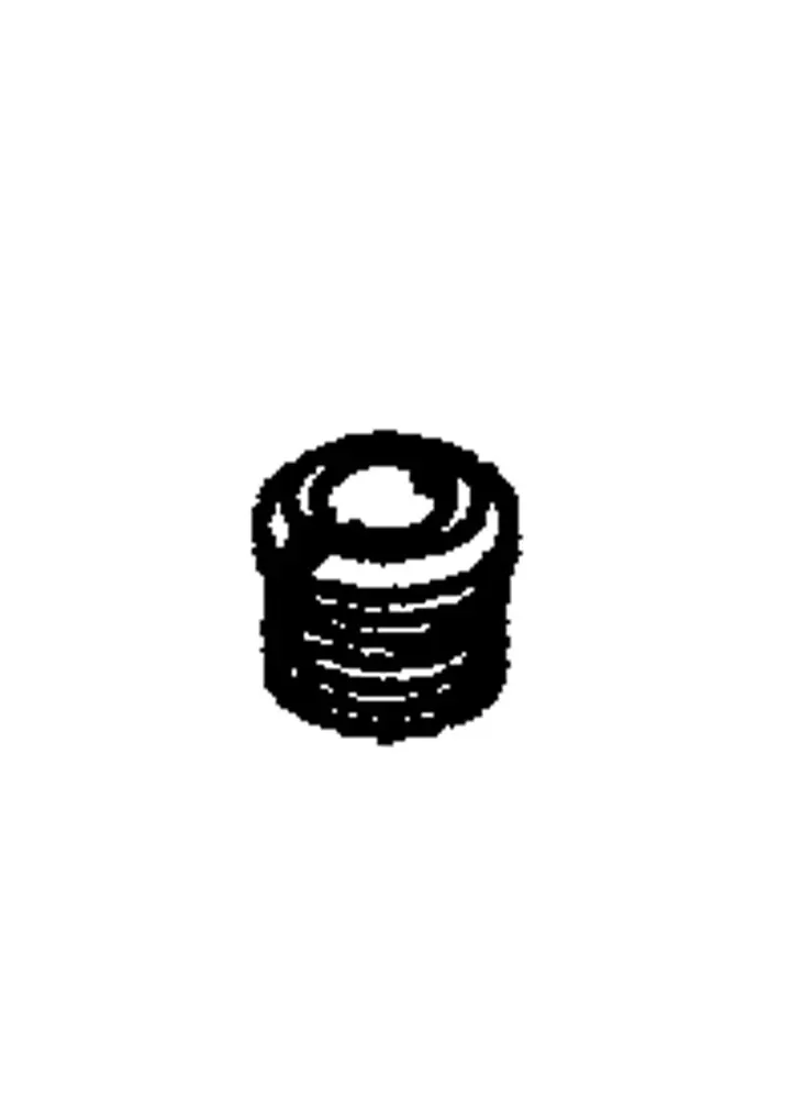VALVE PLUG