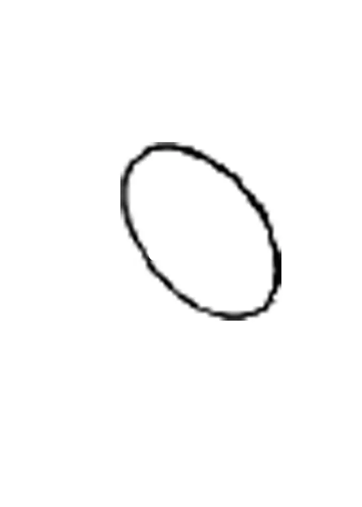 BEARING SHIELD