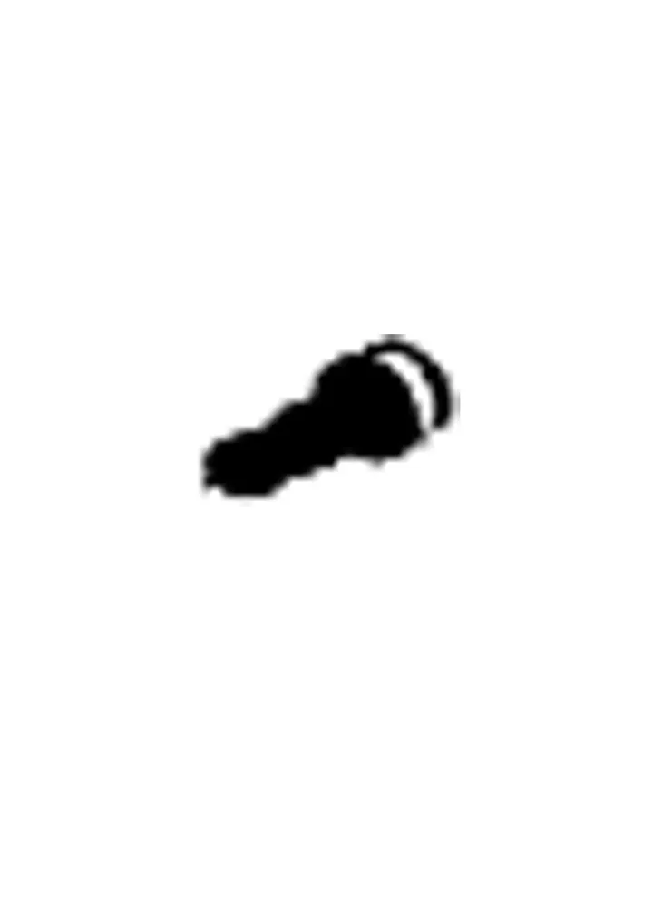 ROTOR SCREW